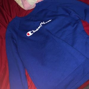 Champion blue sweater